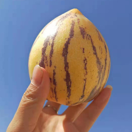 6月吃什么水果是应季水果,6月份最好吃的水果推荐