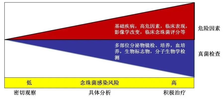 真菌培养及鉴定是阳性严重吗,怎么鉴别肺部真菌感染