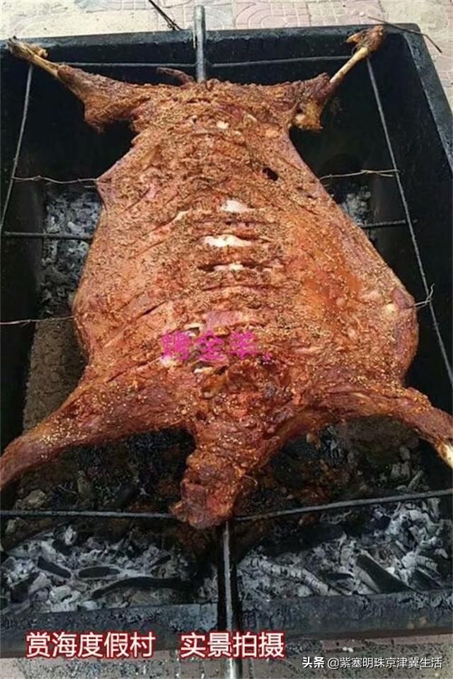 东戴河最美的度假村,东戴河可以开门看海的度假村