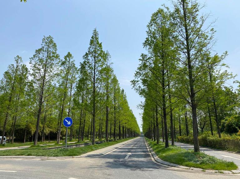 南京电影小镇华谊兄弟需要门票吗,南京华谊兄弟电影小镇