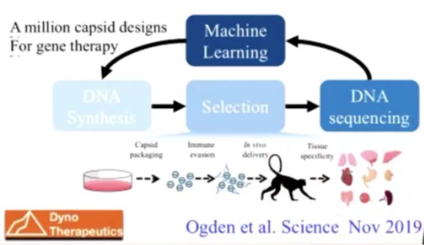 基因合成生物学,合成生物学与基因