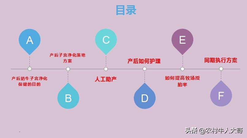 奶牛产后子宫净化保健实施方案ppT课件