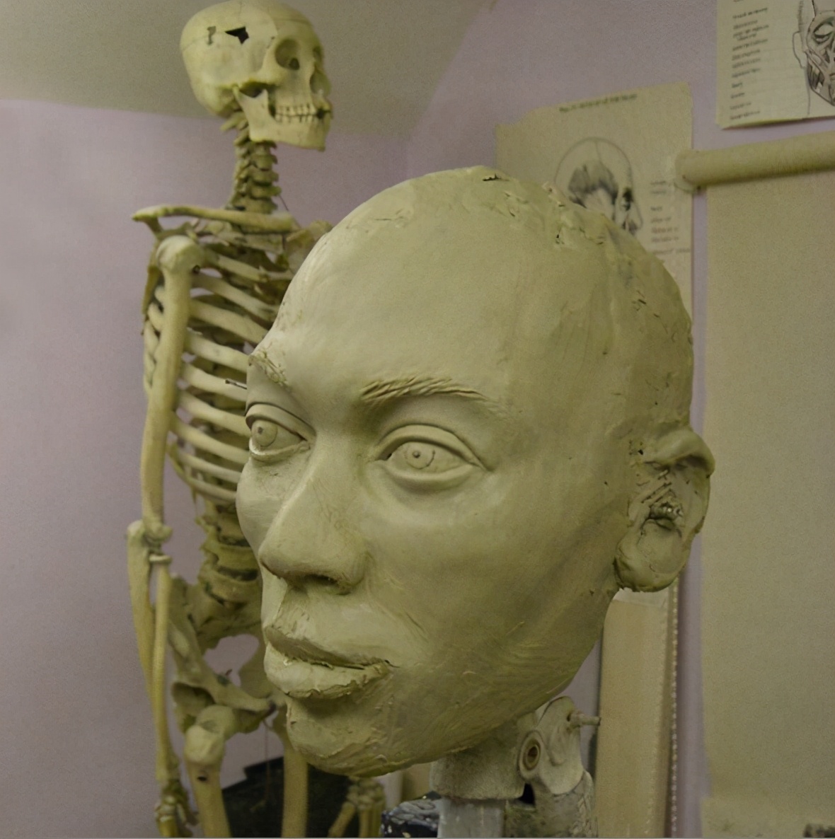 法医根据头骨还原死者,颅骨还原画像原理