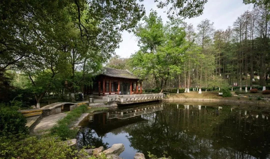 南京小众景点,南京小众花园秘境