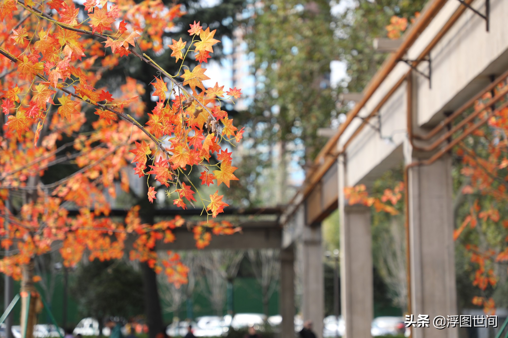 植物假树叶,人造树叶诞生