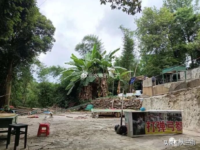 三明麒麟山公园鸟瞰,麒麟山公园三明门票