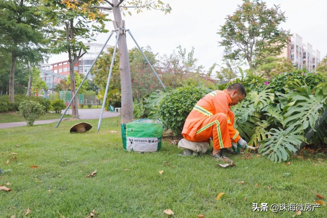 三灶镇金岛路,三灶东咀金岛路