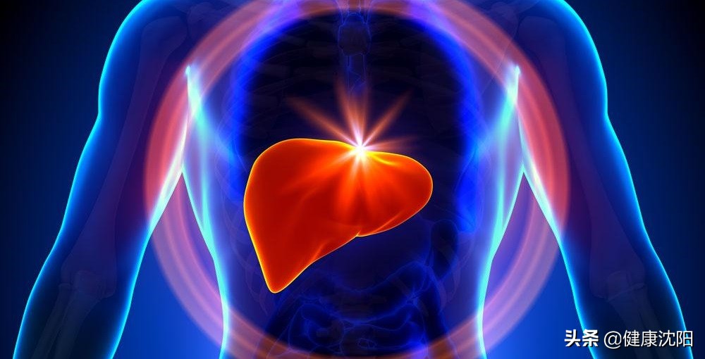 有关乙肝的科普知识,健康科普平台的乙肝秘方