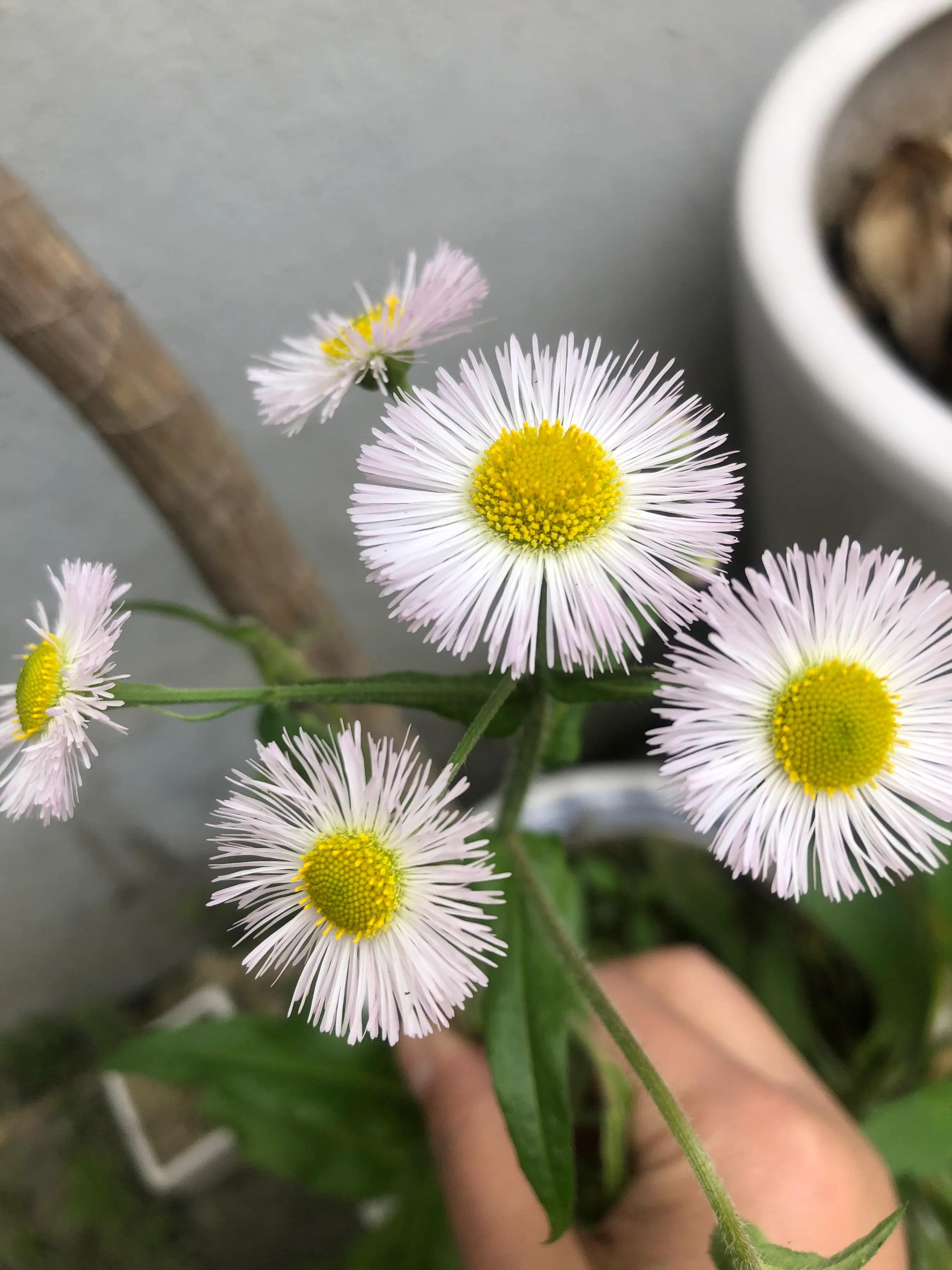 关于新冠疫情的感想与心得,新冠期间的抗疫工作和感想