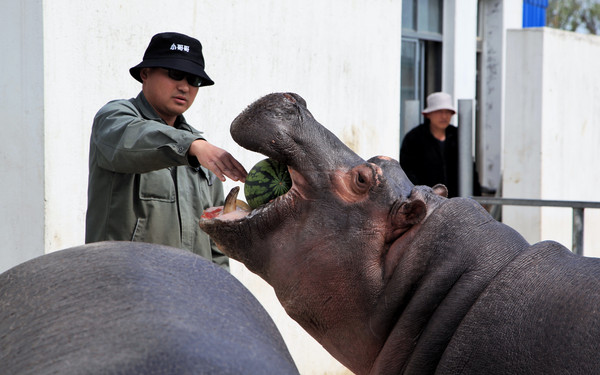 春游江淮请你来滁州版,春游江淮等您来