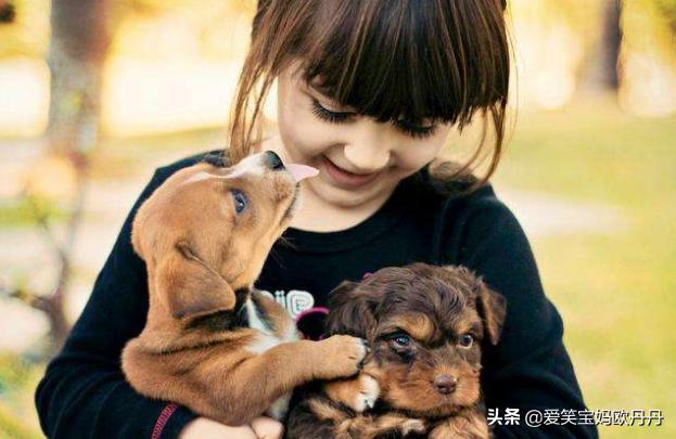 妈妈们如何“对付”让人头疼的2岁宝宝?快试试这5个方法吧!