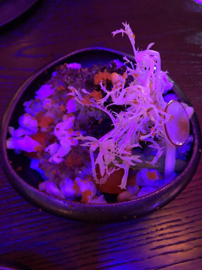 三亚自由行五天最佳攻略,三亚北纬十八度游攻略