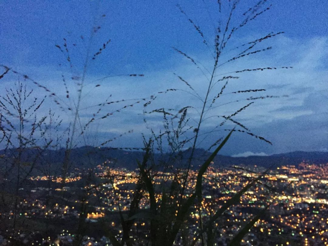 翻译专业就业前景待遇,现在翻译的就业前景怎么样