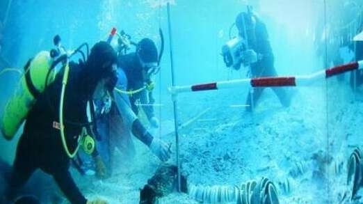 百慕大魔鬼三角洲是真的这么神奇么？欺骗了全世界的弥天大谎