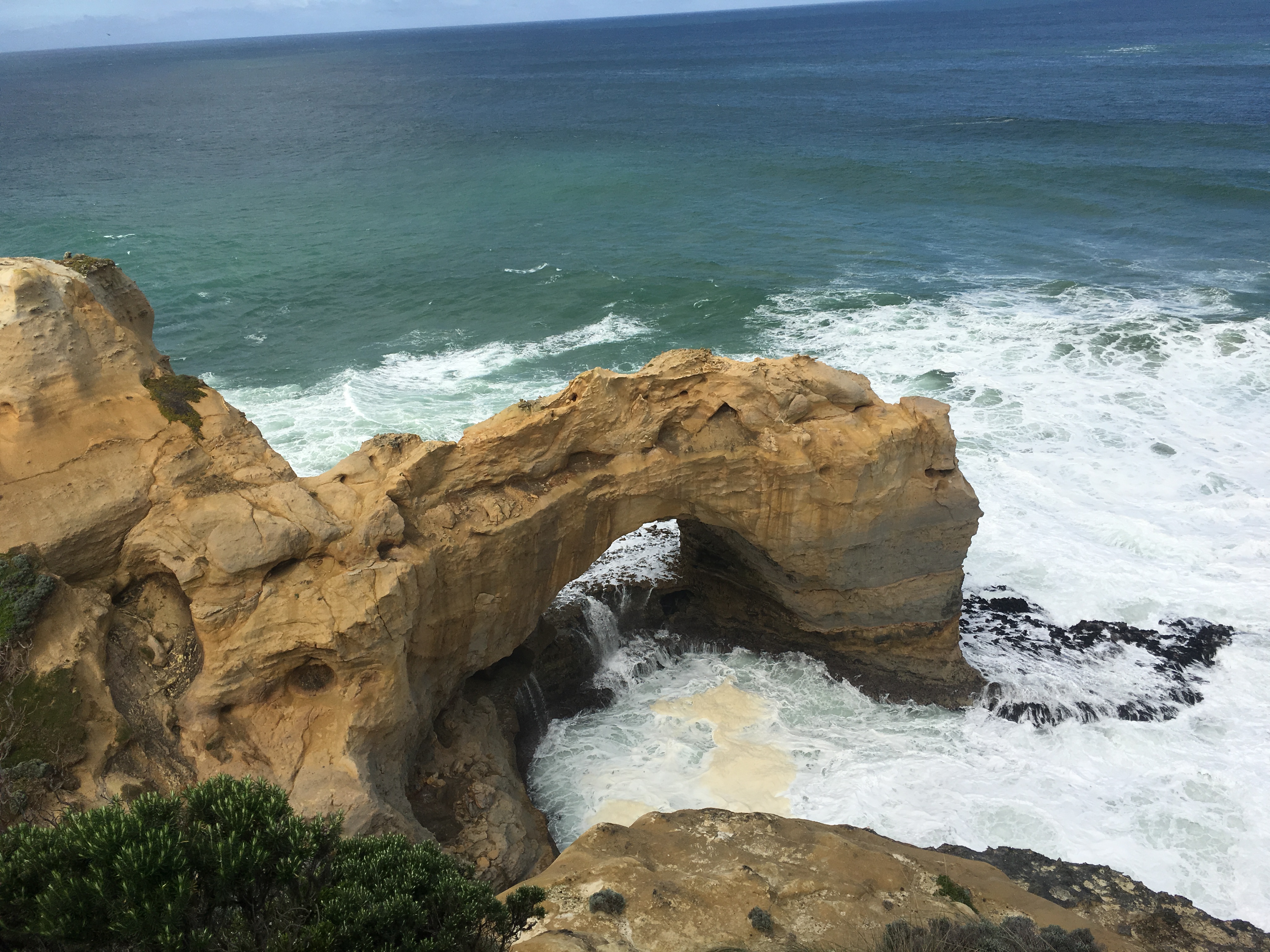 澳大利亚生蚝哪里最好,澳洲生蚝哪里最好