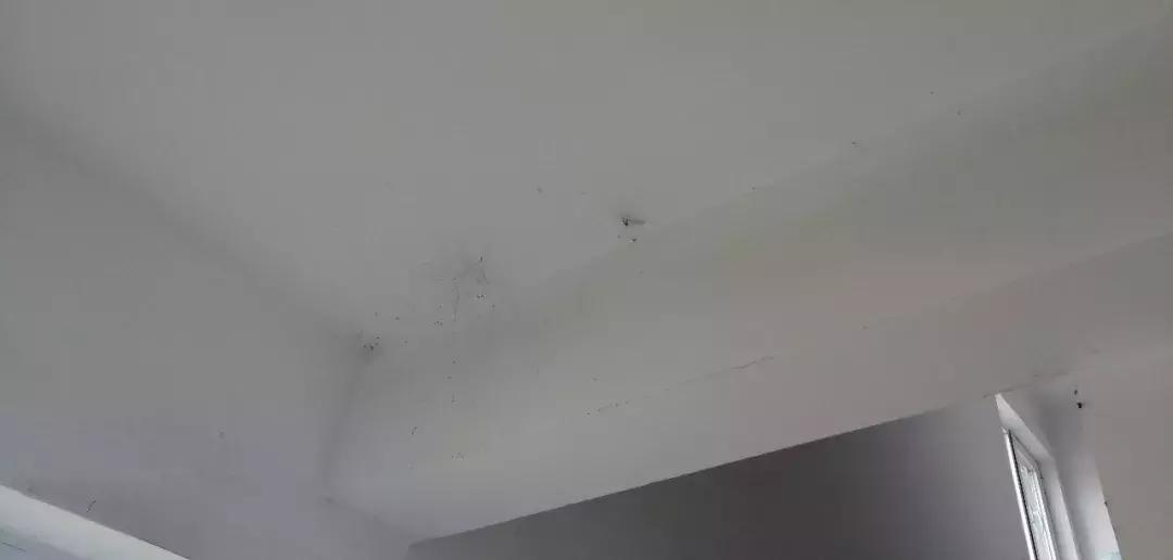 武清低总价优质小区,武清不值得买的小区排名