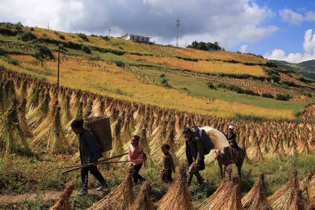 国际旅游摄影推荐,大凉山摄影攻略