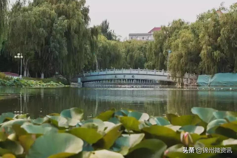 锦州渤海大学!全国最美大学之一!新入学的同学想知道的都在这里