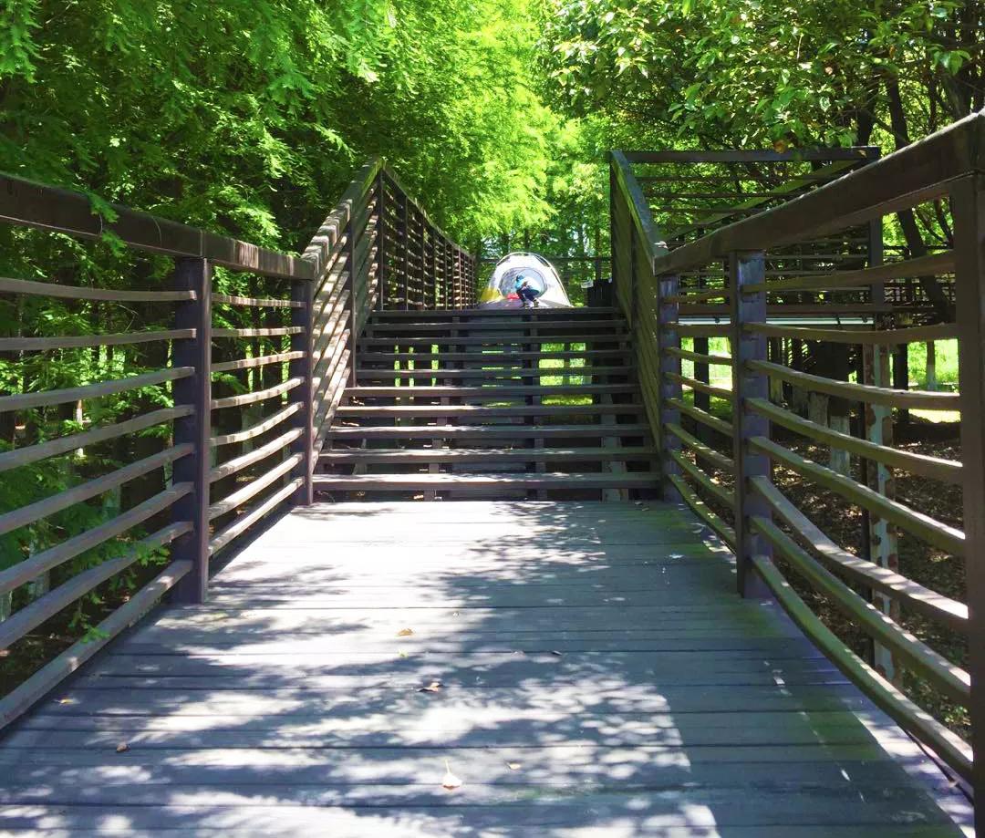 春节国内小众旅行地点推荐,东京周边小众旅行地