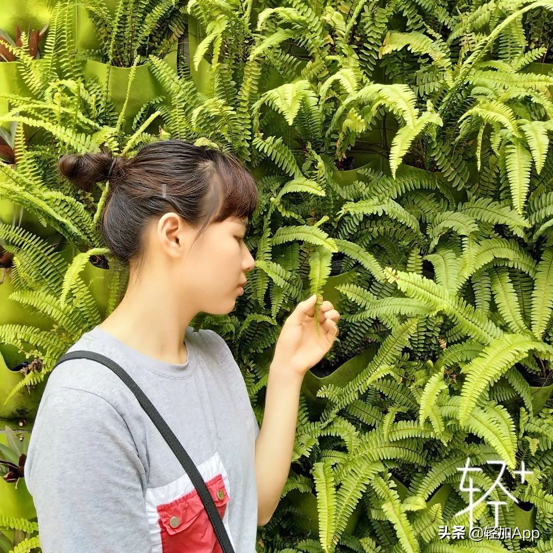 减了几年的肥一斤也没有减下来,减了两年肥