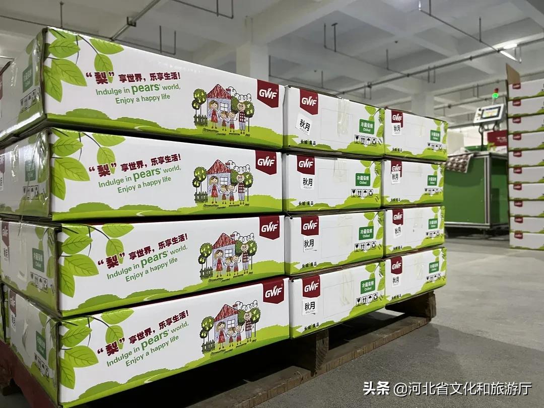 晋州市采摘园一日游攻略,晋州采摘园攻略