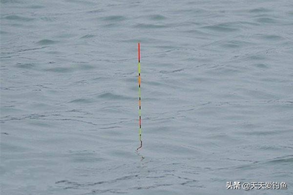 钓鲫鱼怎么调漂精确,精准调漂的正确步骤