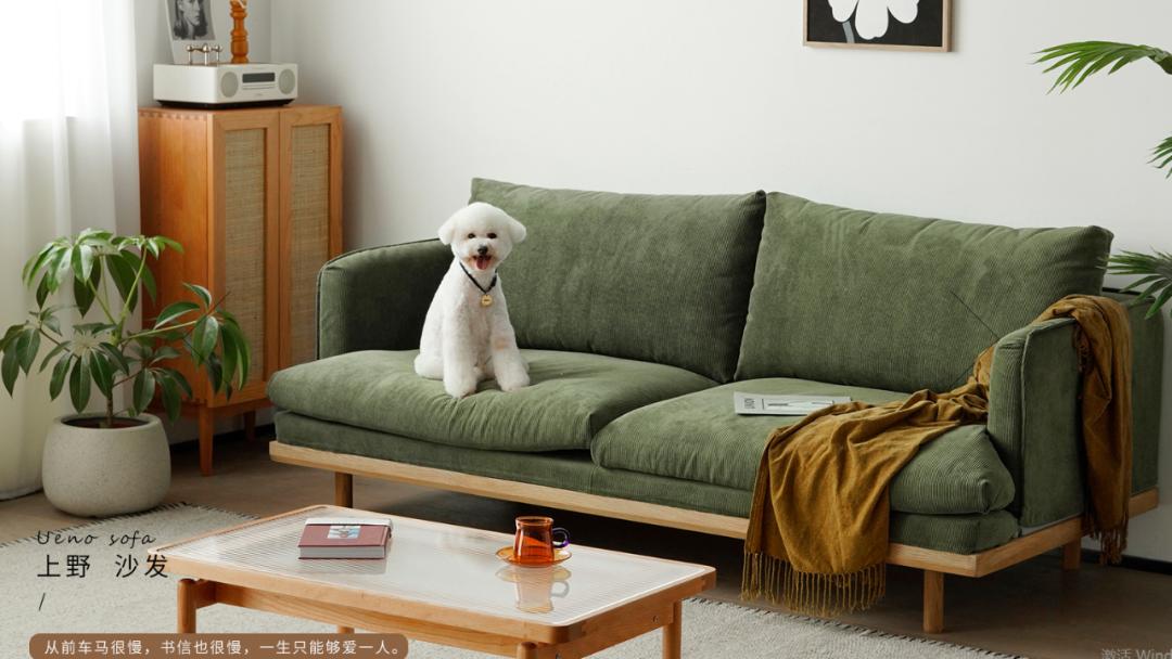 还在傻乎乎的买东西,还在买东西的时候交过哪些智商税