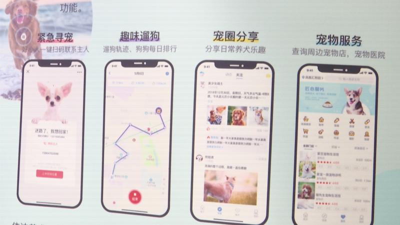 无锡狗狗上狗证,无锡狗狗要办证吗