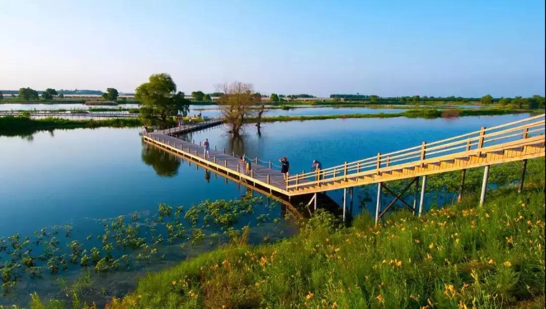 活成自己想要的模样沈北新区,你可能还不知道