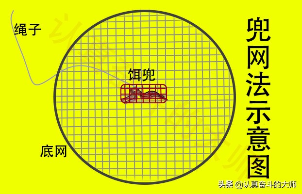 钓小龙虾的方法和技巧,小龙虾的钓法及用法