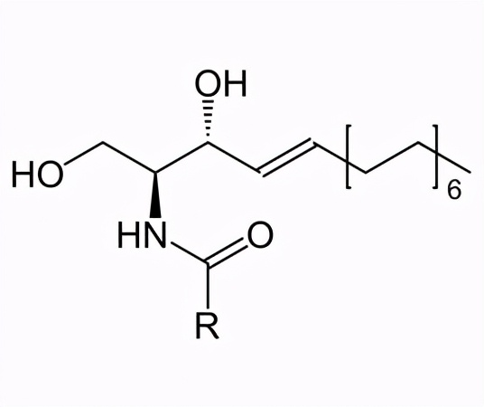药学博士：网红成分神经酰胺究竟有啥用？揭开神秘面纱！（收藏）