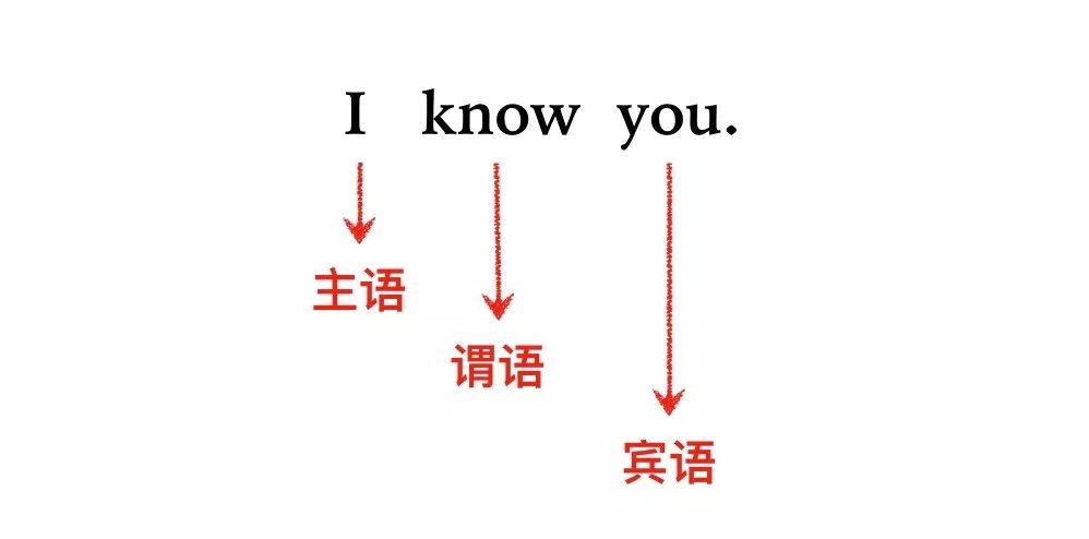 宾语从句讲解大全零基础,宾语从句考点及做题技巧