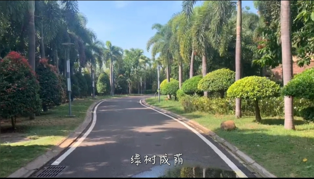 海南旅游自由行短租房,海南旅游公寓价格