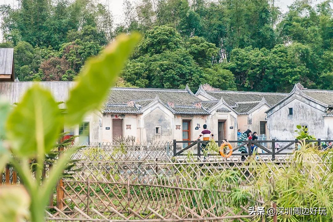 住在深圳各区的人,住在深圳市的人