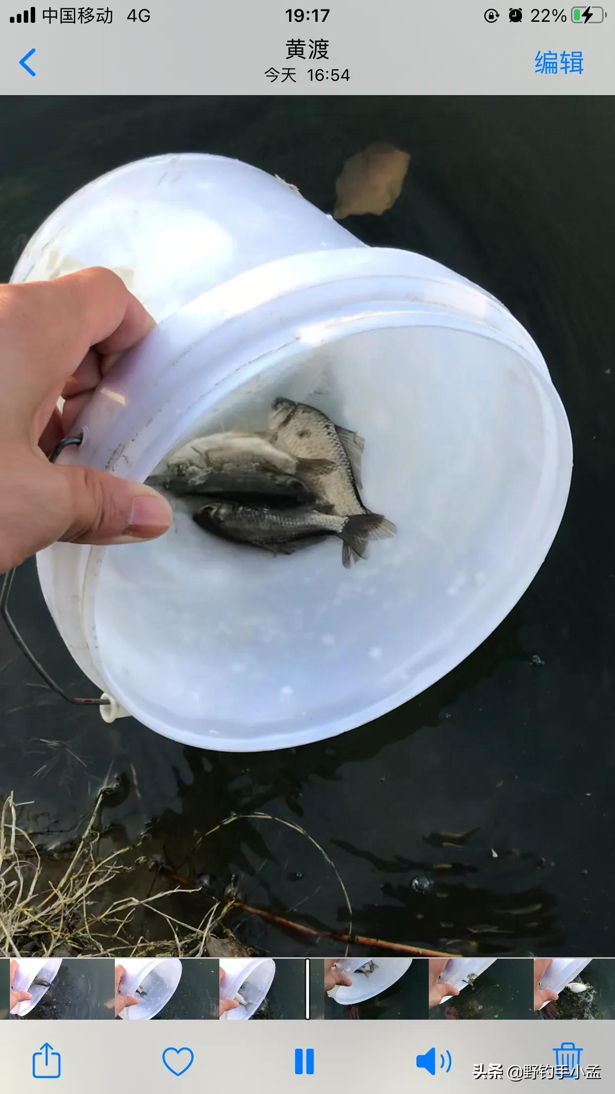 贼喊抓贼,是谁断送了野钓资源?有些钓鱼人要长点心吧