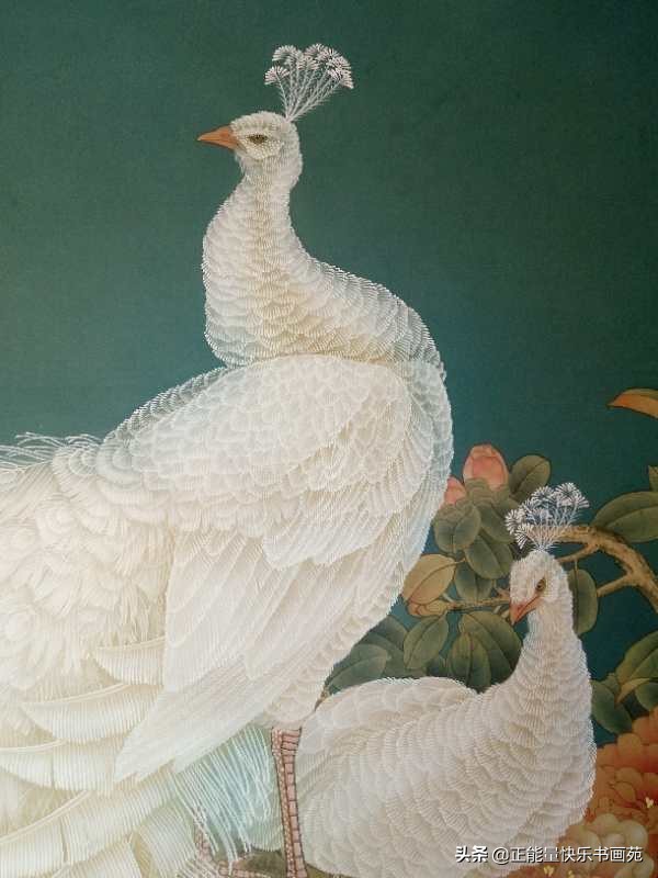 孔雀工笔画入门教程步骤图,白孔雀工笔画图片大全大图
