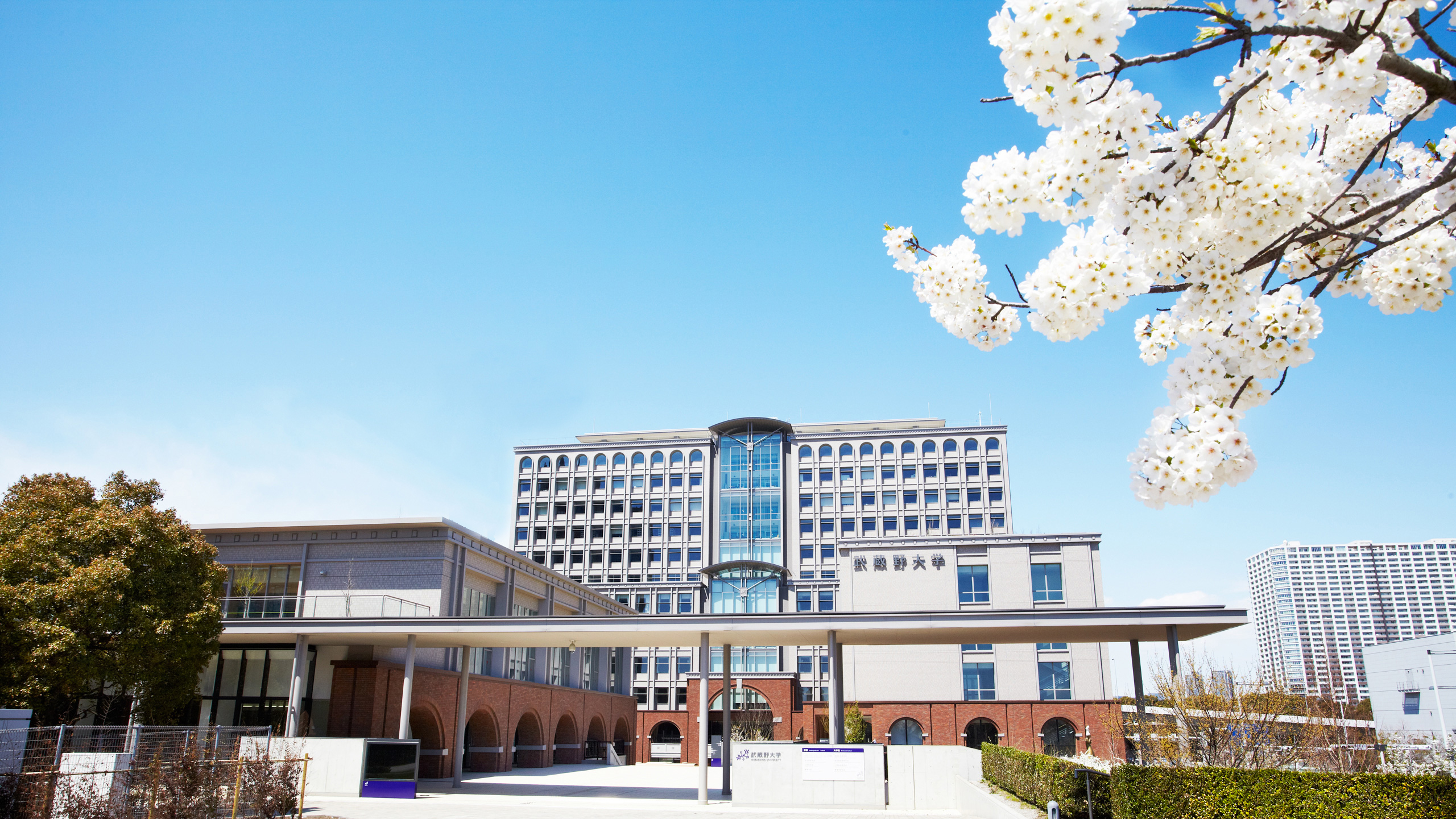 学校英语口语常用句型大全,英语小学初中高中表达