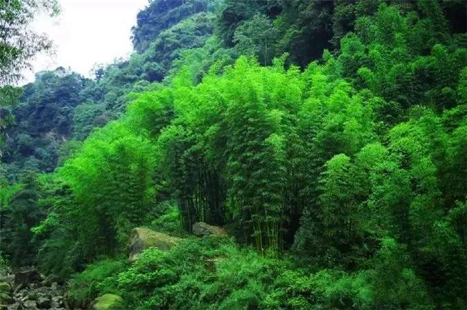 天热适合到成都哪里耍,成都周末耍水游玩推荐