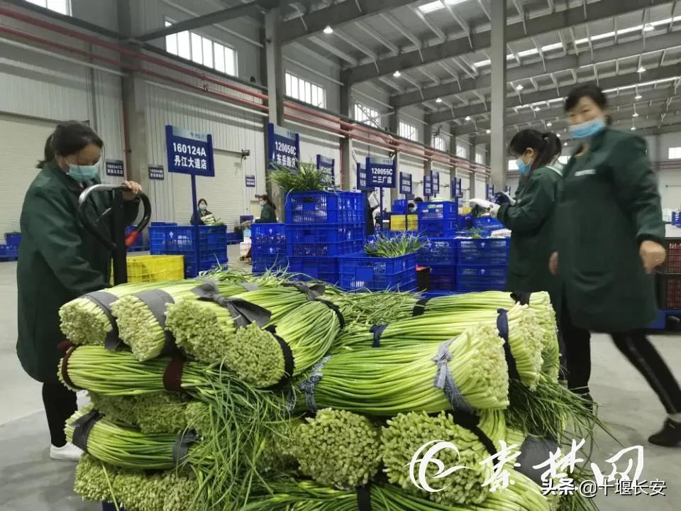 亚波书记带队奔赴十堰这些县市区,现场点评来了!