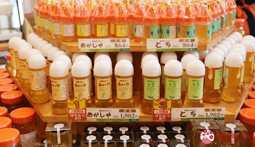 秋田市旅游,秋田一日游最佳去处