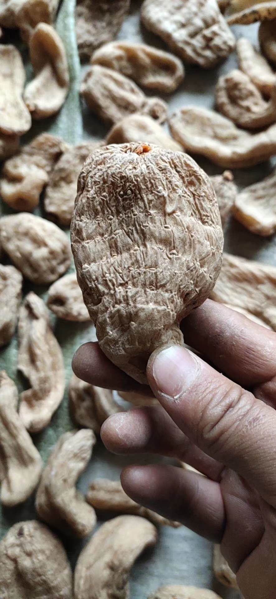 无硫天麻加工方法,野生干天麻的制作方法