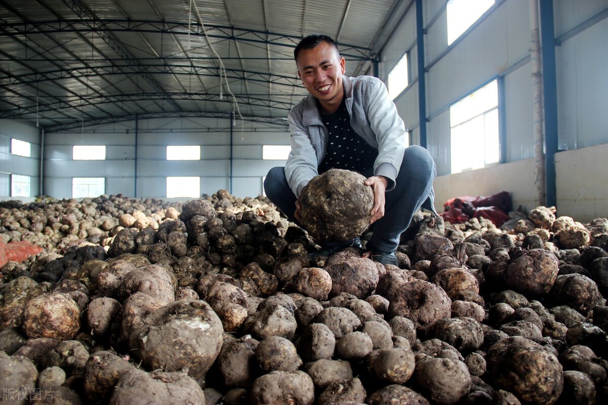 1亩地盈利10000,1亩地赚500元70亩地一年赚多少钱