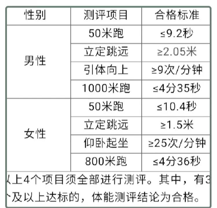 女权与田园式女权,田园女权传统女权