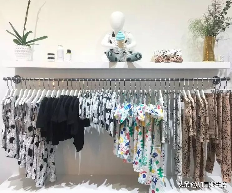 加拿大养小孩福利,加拿大养宠物必备什么