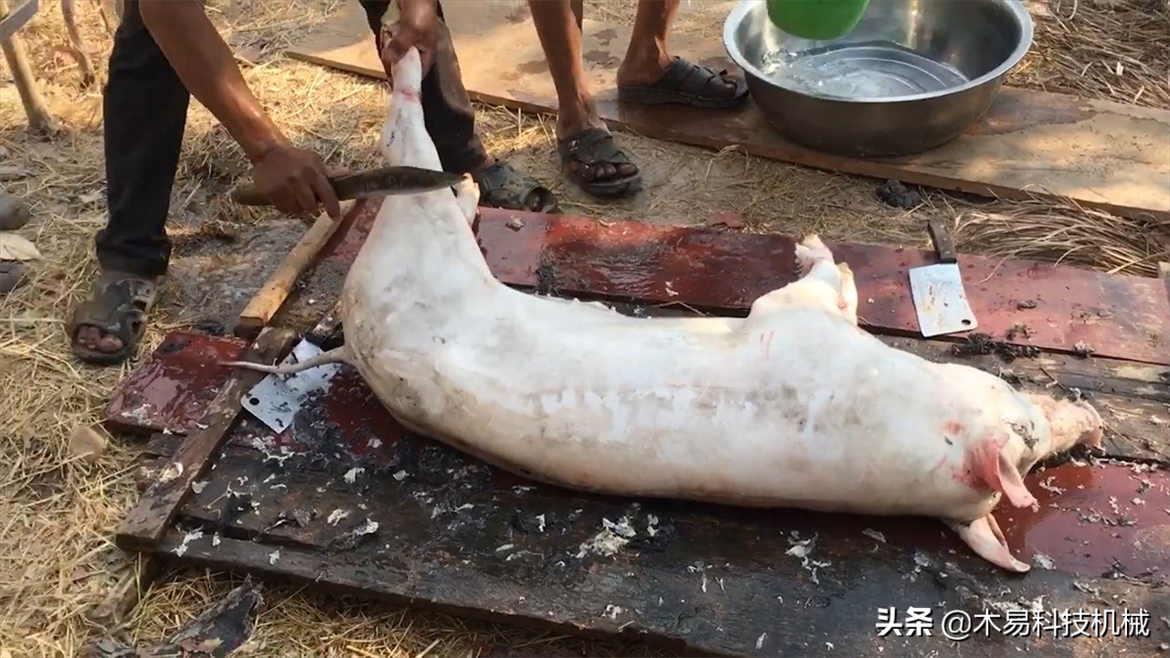 脱猪毛最好的神器,脱猪毛神器大全