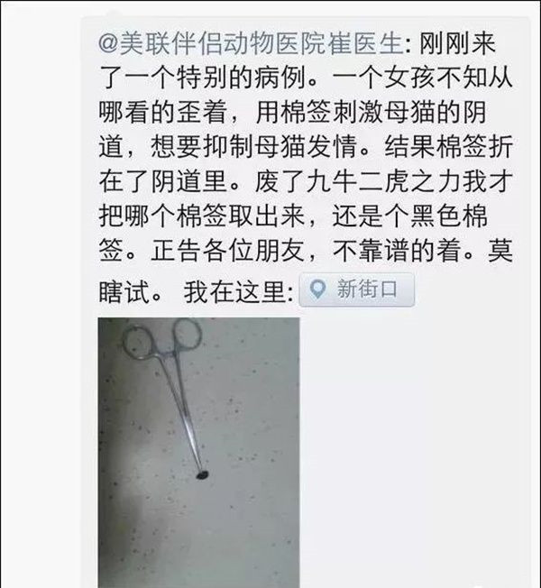 公猫咪剃毛后发情怎么缓解,猫咪剃毛可以抑制发情的药