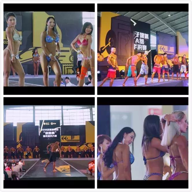 2024中国体博会将于5月举行,2019沈阳体博会