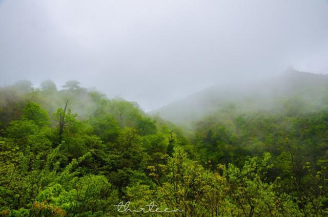 天门山森林公园和张家界森林公园,张家界天门山一日游最佳路线