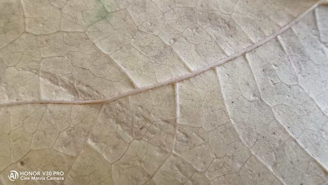 荣耀V30PRO详细评测：MatrixCamera相机矩阵开启5G视频时代