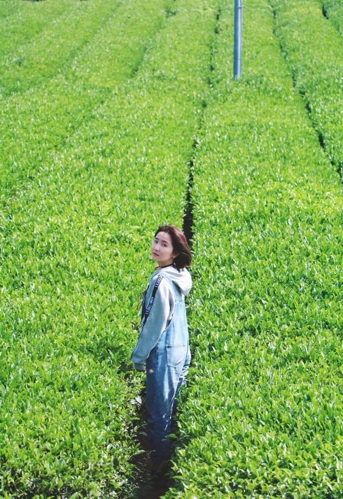 济州岛俩人旅游攻略,济州岛双人跟团旅游费用